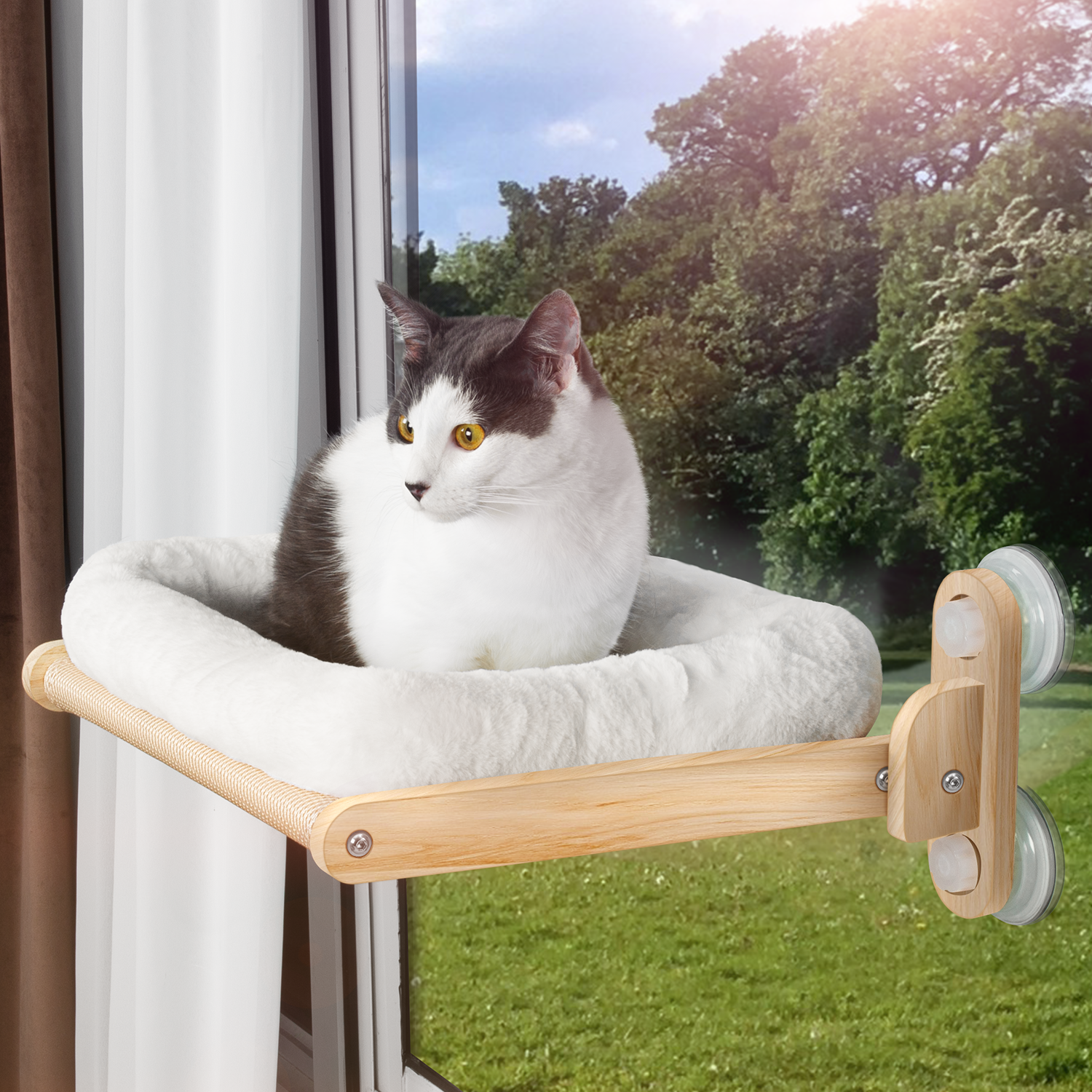 Cat Window Perch